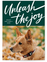 Unleash the Joy Holiday Photo Cards
