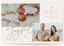 Joyful Pair Holiday Photo Cards