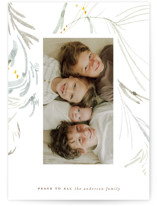 Winter Whites Holiday Photo Cards