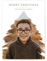 Christmas Wishes Holiday Photo Cards