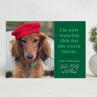 For the Treats Holiday Photo Cards
