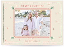 Holly Tidings