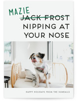 Not Jack Frost Holiday Photo Cards