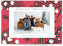 White Berries by Cricket and Bee