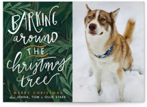 Barking Fun Holiday Photo Cards
