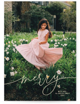 Merry Linear Holiday Photo Cards