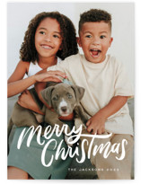 Brushy Christmas Holiday Photo Cards