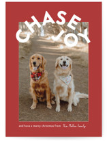 Chase Joy Holiday Photo Cards