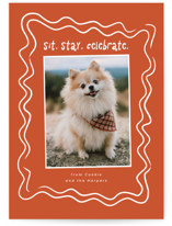 wiggly lines Holiday Photo Cards