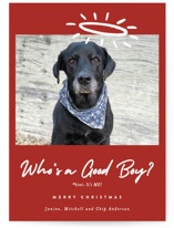 Good Boy