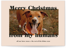 Happy Howlidays Holiday Photo Cards