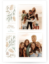 Sedgwick Holiday Photo Cards