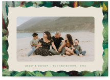 Wavy Painted Frame Holiday Photo Cards