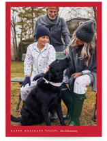 perfect pic Holiday Photo Cards