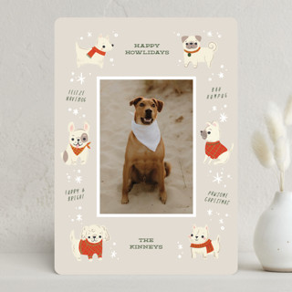Dog Days of Christmas Holiday Photo Cards