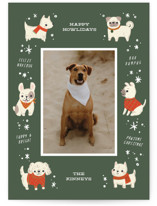 Dog Days of Christmas Holiday Photo Cards