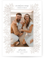 FRILLS Holiday Photo Cards
