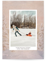 Winter Wishes Holiday Photo Cards