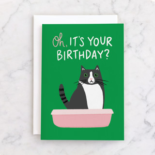 Cat Box Individual Birthday Greeting Cards