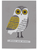 Older & wiser by Farinaz Vaseghi
