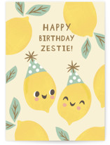 Birthday Zestie Individual Birthday Greeting Cards