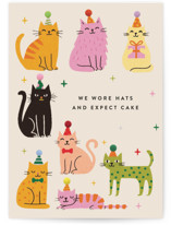 Cats with party hats Individual Birthday Greeting Cards