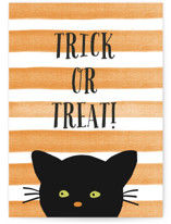 Striped Cat Individual Seasonal Greeting Cards