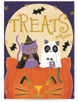 Kitten's Halloween Individual Seasonal Greeting Cards