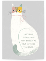 Spoiled Cat Birthday Individual Feminine Birthday Greeting Cards