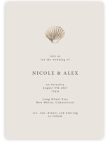 Simple Seashell