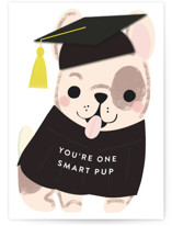 Frenchie Grad Individual Graduation Greeting Cards