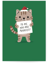 Purrfect Individual Holiday Greeting Cards