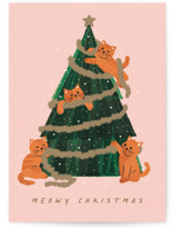 meows Individual Holiday Greeting Cards