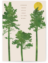 strong tree Individual Just Because Greeting Cards