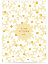 Falling Daisies Individual Mother's Day Greeting Cards