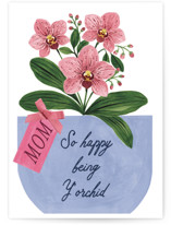 Y'orchid Individual Mother's Day Greeting Cards