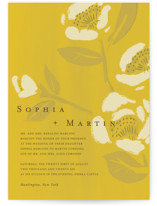 Sophia