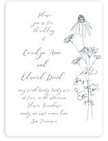 Sketched Florals