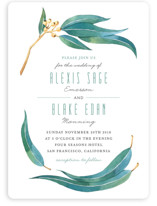 Eucalyptus Leaves