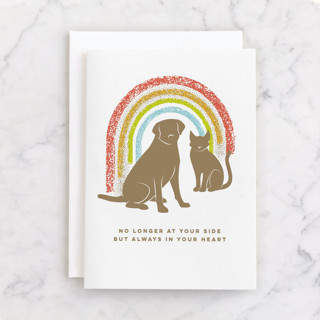 Rainbow Crossing Individual Sympathy Greeting Cards