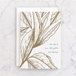 Gilded Thoughts Individual Sympathy Greeting Cards