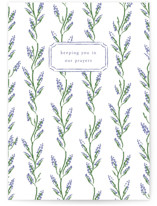 Wisteria Individual Sympathy Greeting Cards