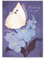 White Moth Individual Sympathy Greeting Cards