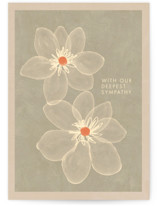 Our Deepest Sympathy Individual Sympathy Greeting Cards