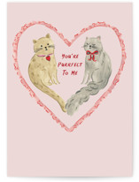 Purrfect Individual Valentine's Day Greeting Cards
