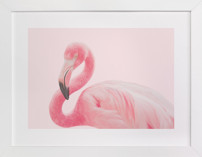 Flamingo Portrait III Children's Art Prints