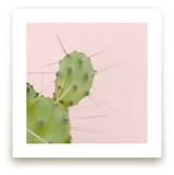 Succulent No1 by Jessica C Nugent