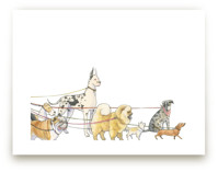 Walking Dogs by Natalie Groves