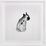 Dreaming Ted Children's Art Prints