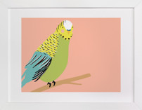 Sweet Parakeet Children's Art Prints